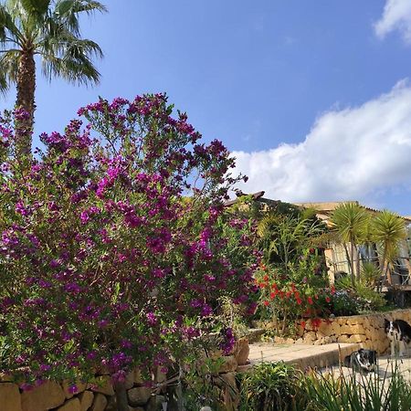 El Paraiso de los Perros Polop de la Marina Exterior foto