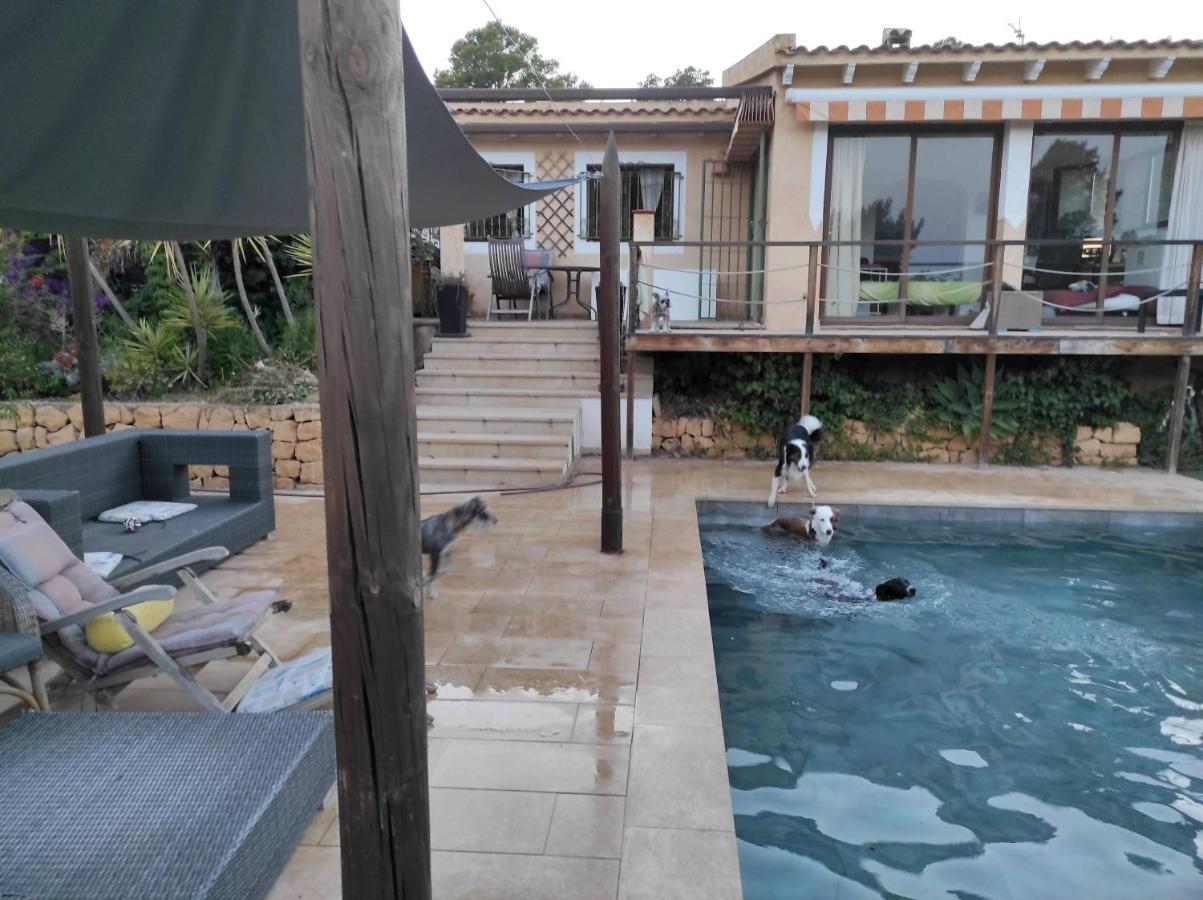 El Paraiso de los Perros Polop de la Marina Exterior foto