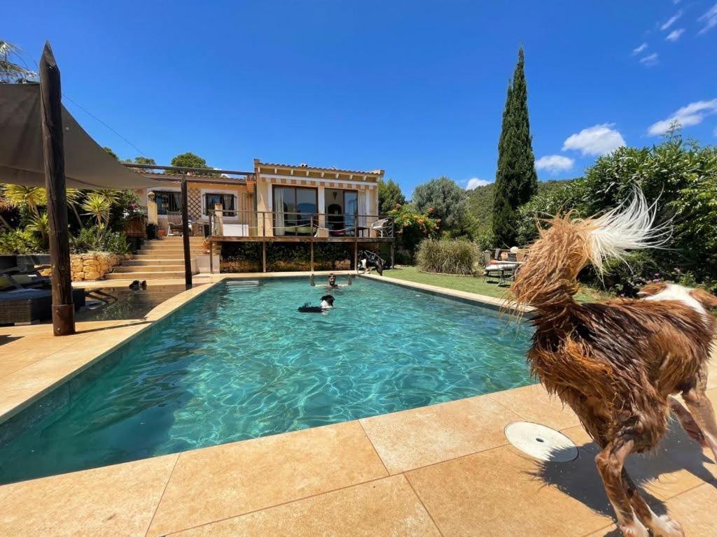 El Paraiso de los Perros Polop de la Marina Exterior foto