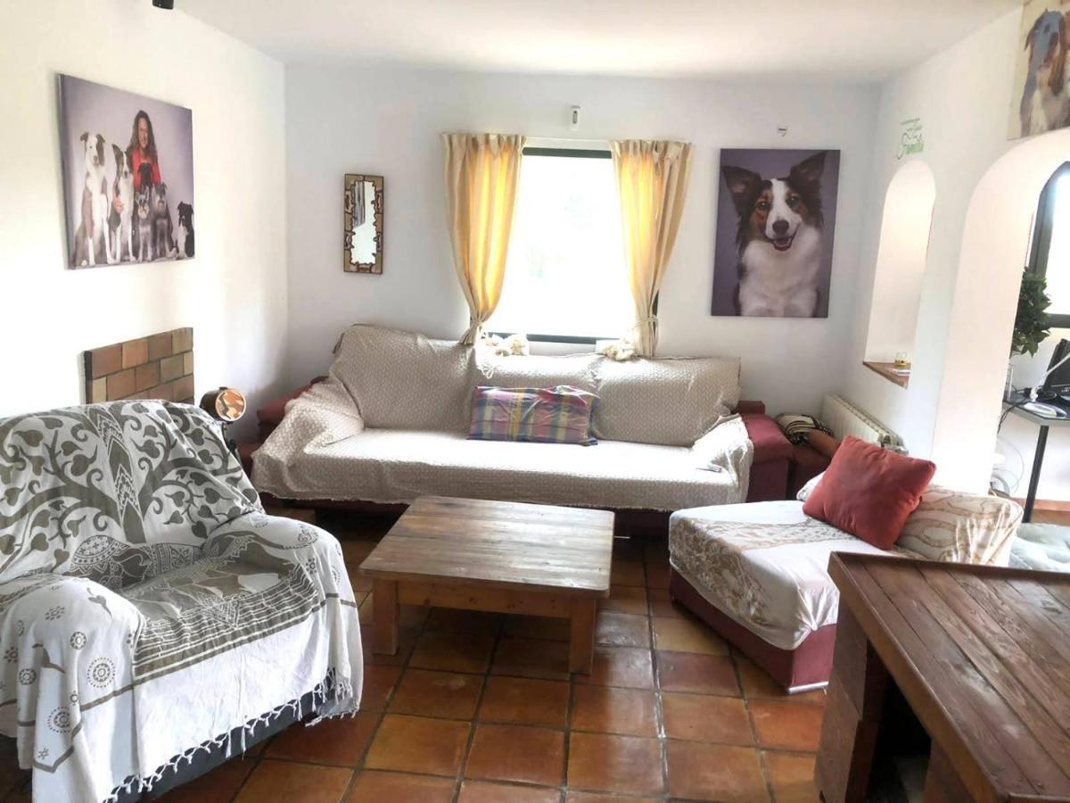 El Paraiso de los Perros Polop de la Marina Exterior foto