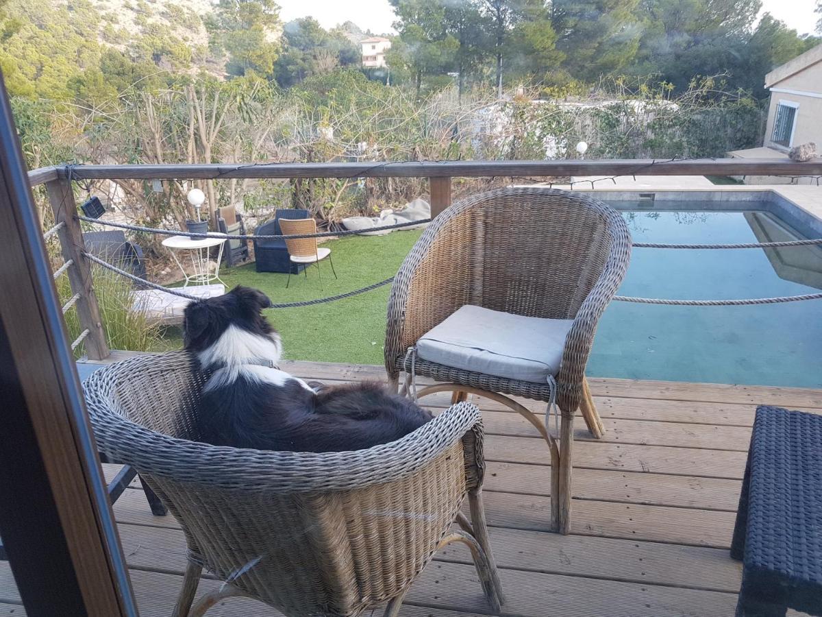 El Paraiso de los Perros Polop de la Marina Exterior foto