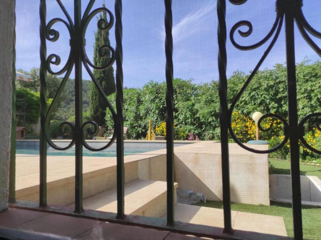 El Paraiso de los Perros Polop de la Marina Exterior foto