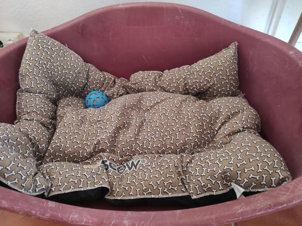 El Paraiso de los Perros Polop de la Marina Exterior foto